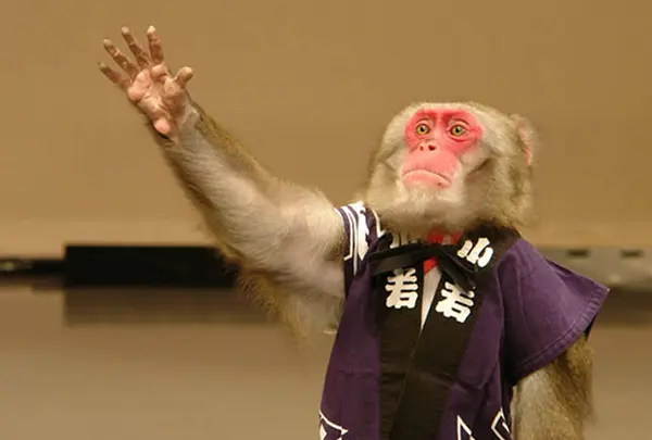 富士お猿の里・河口湖猿まわし劇場