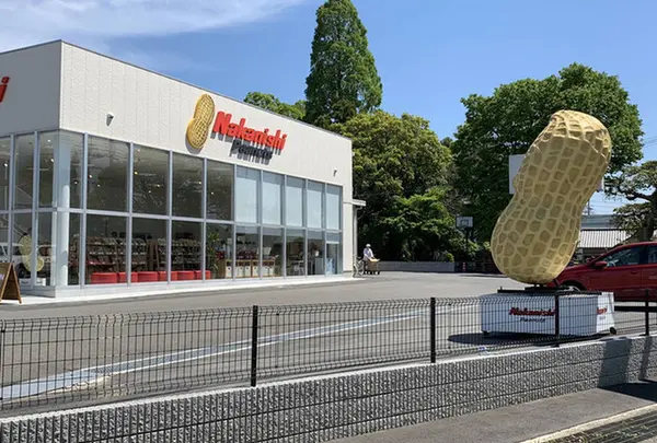 Nakanishi Peanuts 中西ピーナッツ