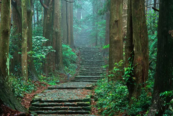 熊野古道　大門坂