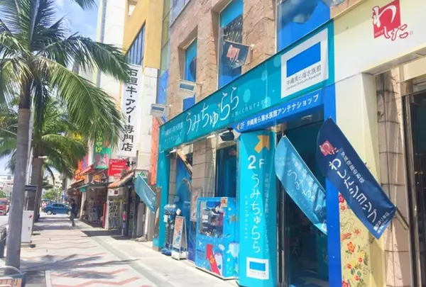 【カップ】うみちゅらら