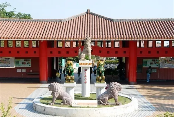 ☆【カップ】おきなわワールド