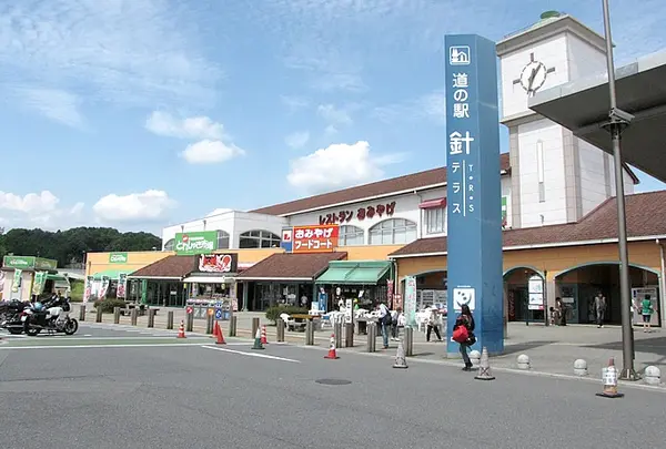 道の駅 針テラス