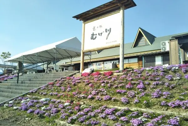 道の駅　むげ川