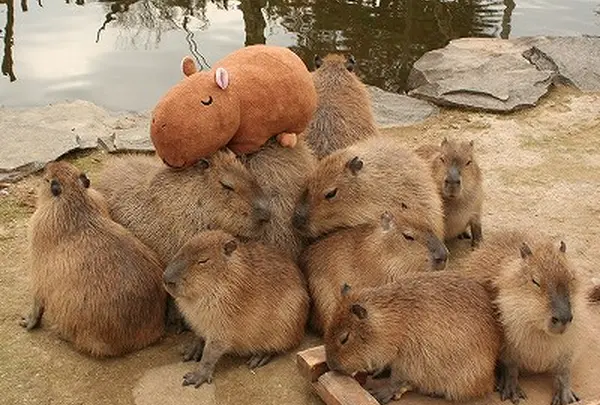 長崎バイオパーク