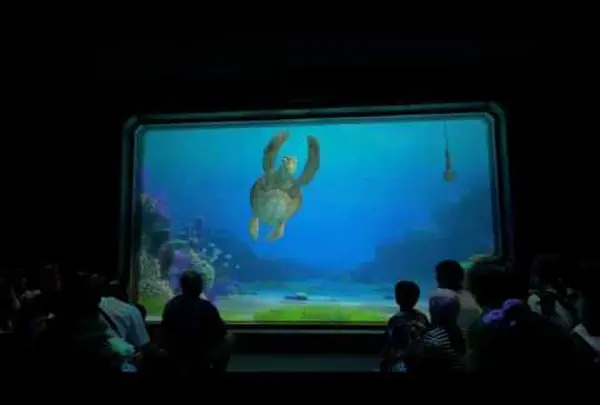 タートル・トーク (Turtle Talk)