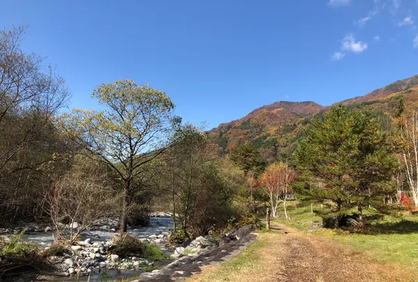 蒲田川流域、たから流路工周辺の写真・動画_image_840804