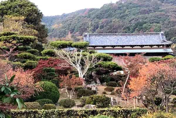毛利氏庭園の写真・動画_image_846213