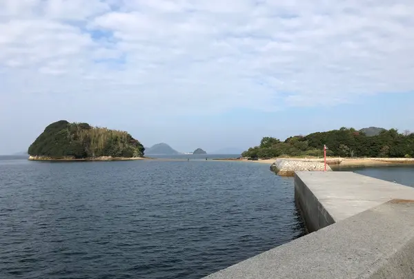 真宮島の写真・動画_image_846607