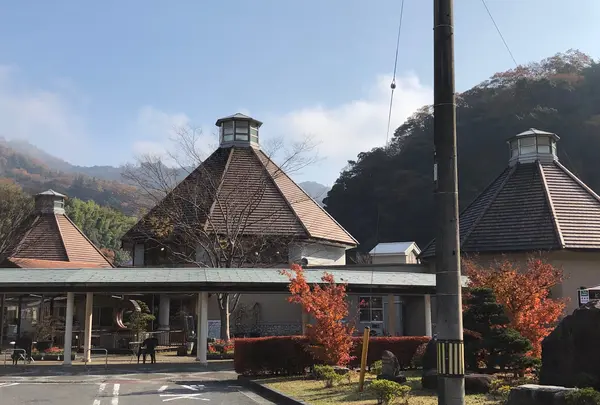 道の駅 ピュアラインにしきの写真・動画_image_846723