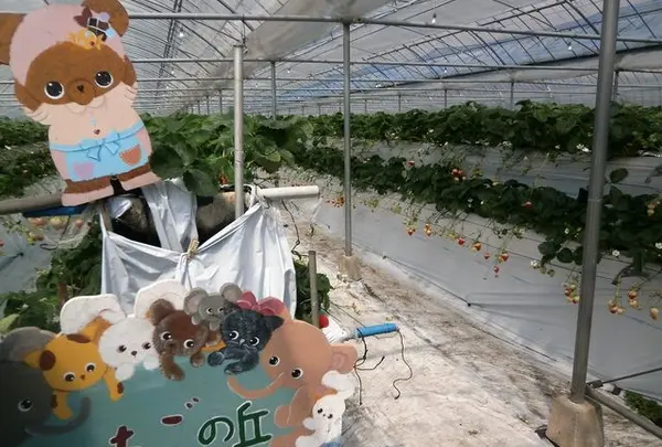 いちごの丘