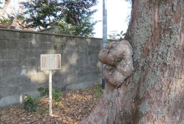 夜叉婆さん伝説の地