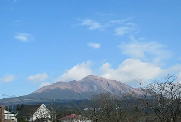 高千穂牧場の写真・動画_image_894540