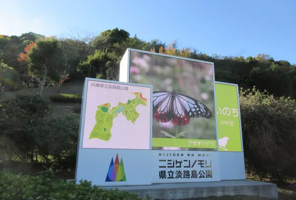 県立淡路島公園の写真・動画_image_897572