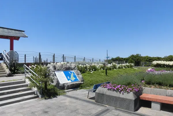 緑の道しるべ 郡家公園の写真・動画_image_900470