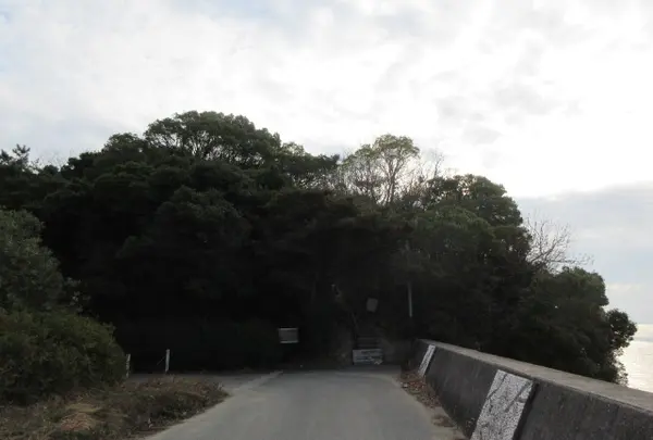 唐船山の写真・動画_image_908504