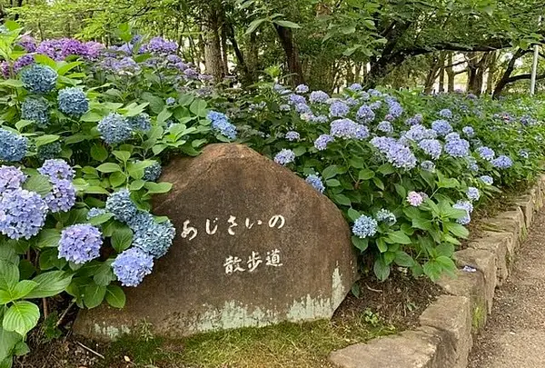 鶴舞公園