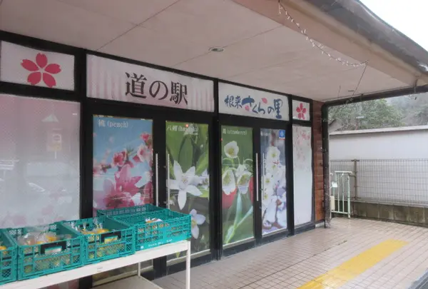 道の駅根来さくらの里