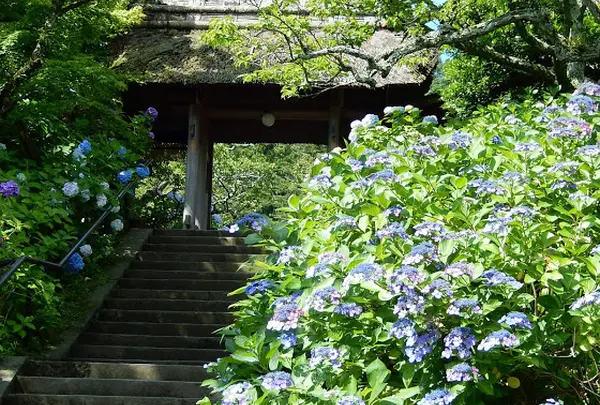 東慶寺