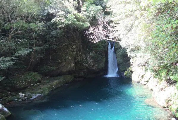 仁淀川の写真・動画_image_949309