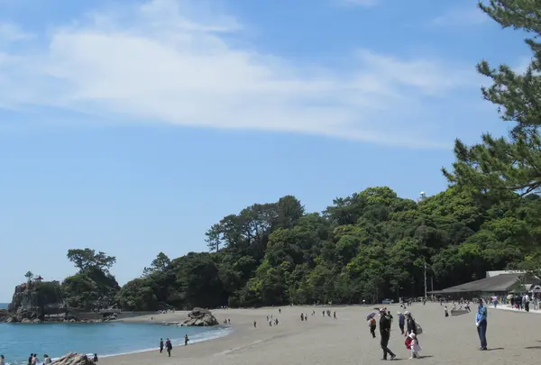 桂浜の写真・動画_image_949311