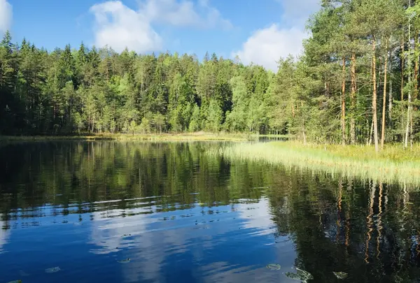 Nuuksio National Park - ヌークシオ国立公園