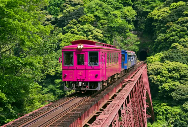トロッコ列車ゆうすげ号