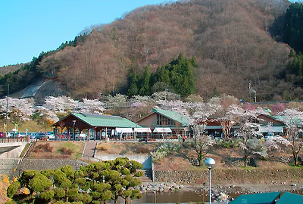 道の駅 果樹公園あしがくぼ