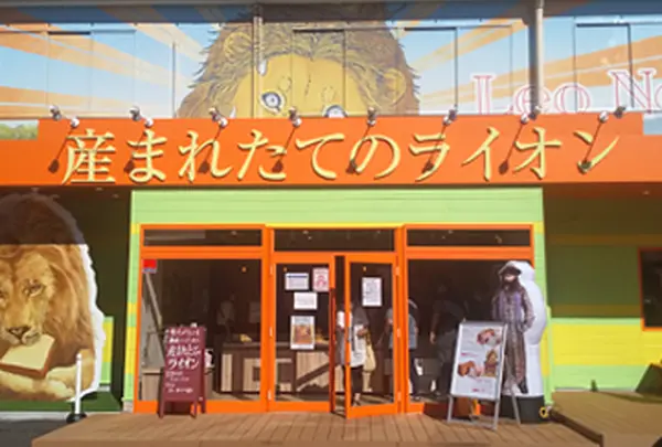 産まれたてのライオン