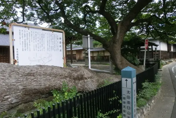 西国街道の写真・動画_image_986601