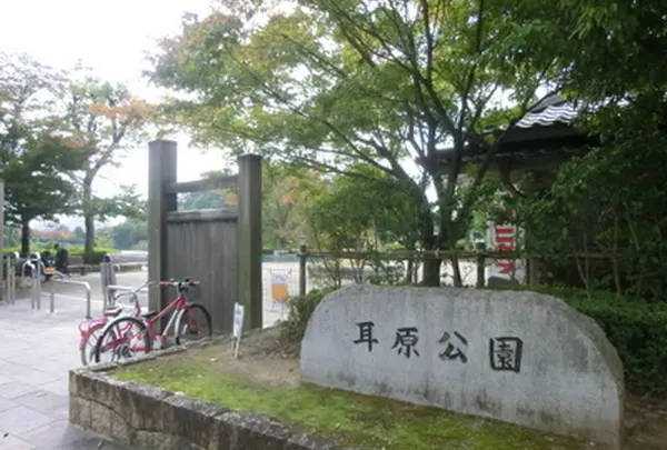 耳原公園の写真・動画_image_986603