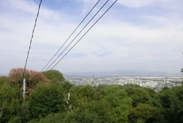 妙見山の写真・動画_image_988105