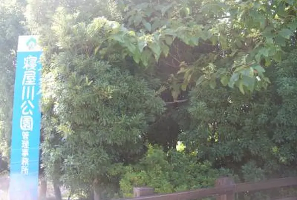 寝屋川公園の写真・動画_image_988128