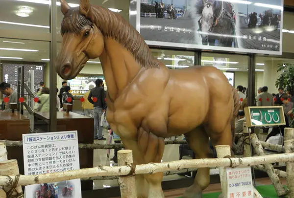 帯広空港(とかち帯広空港)