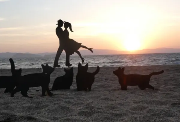 神川ビーチ 影絵の祭典