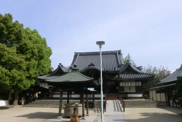 あびこ観音寺　の写真・動画_image_996892