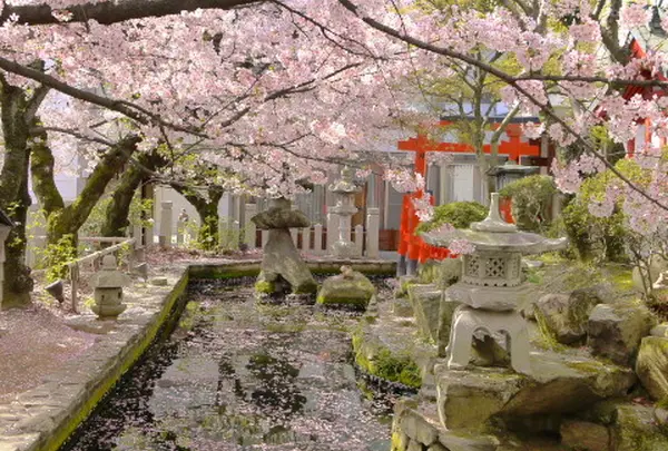 播磨国総社の写真・動画_image_172924