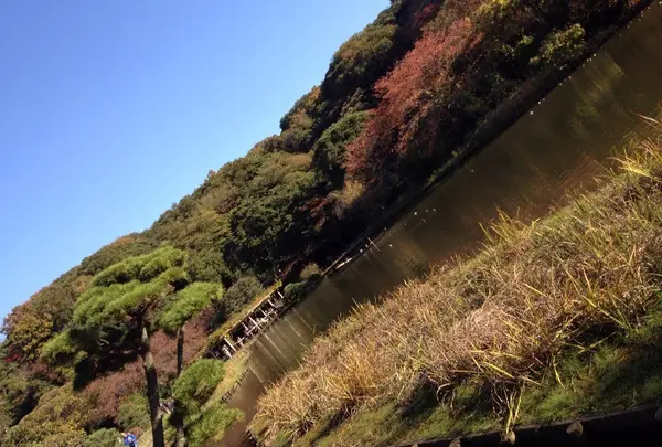 三溪園の写真・動画_image_20001