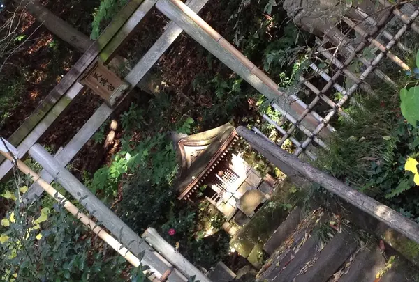 三溪園の写真・動画_image_20009