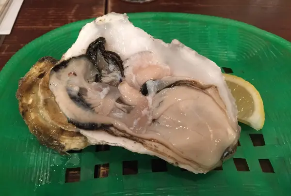 牡鹿半島の生ガキ