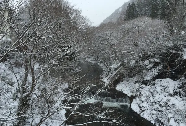 近くの橋から