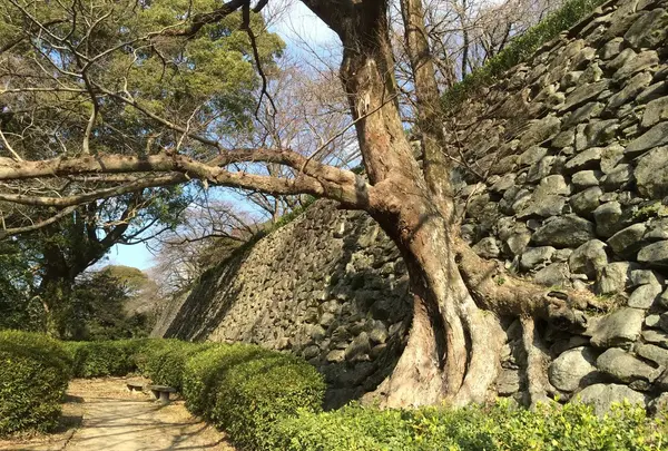 三の丸と二の丸の間の石垣