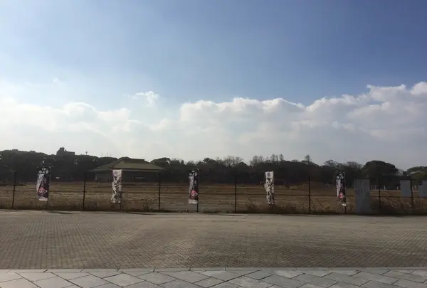 福岡城跡の写真・動画_image_20634