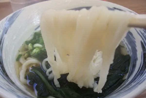 舩本うどん 本店の写真・動画_image_21296