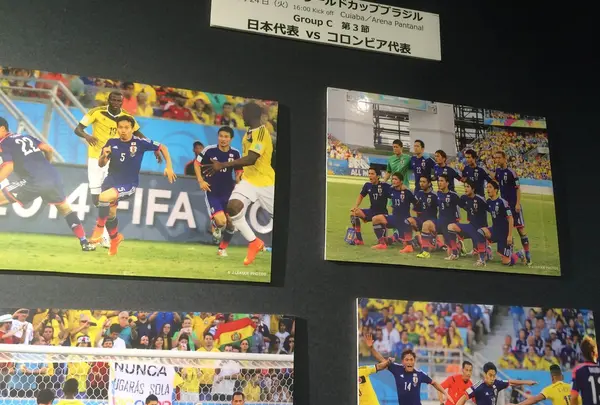 「ワールドカップへの挑戦」エリアー挫折