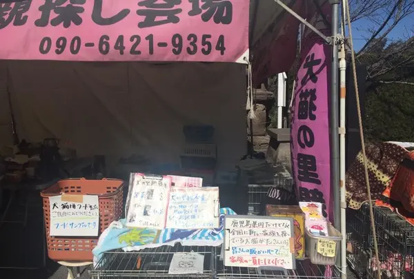 犬猫譲渡会