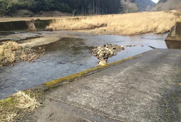 川向かいに渡る方法