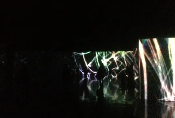 追われるカラス、追うカラスも追われるカラス、そして分割された視点 ‒ Light in Dark