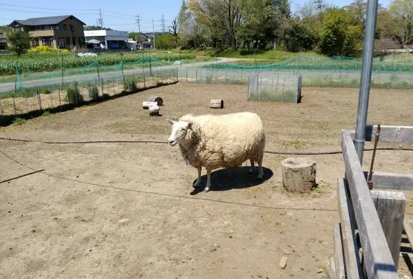 ふれあい動物園
