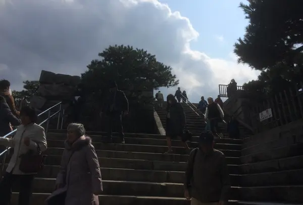 元離宮 二条城の写真・動画_image_25461