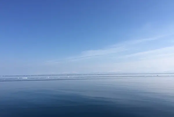 沖はこんな感じ